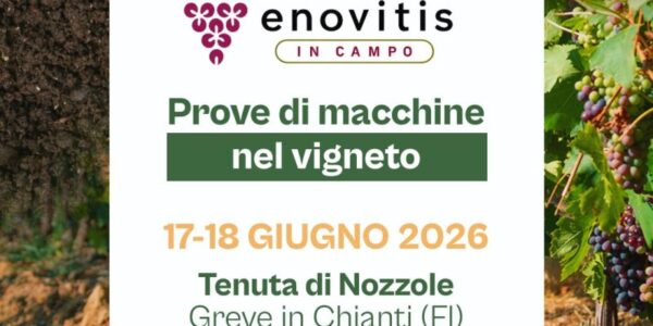 CLT Enovitis CLT Enovitis