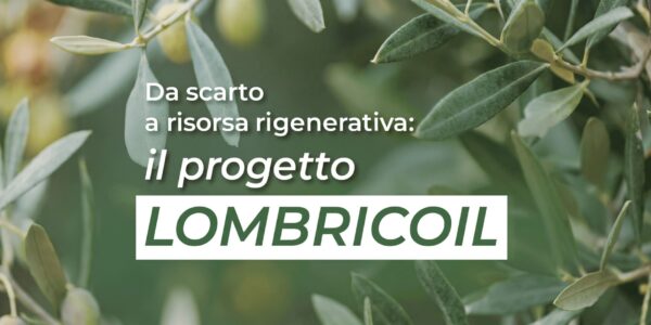 Lombricoil progetto CLT